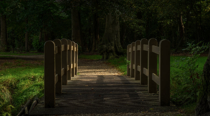 How to Keep Your Health a Priority While Studying for the Bar Exam