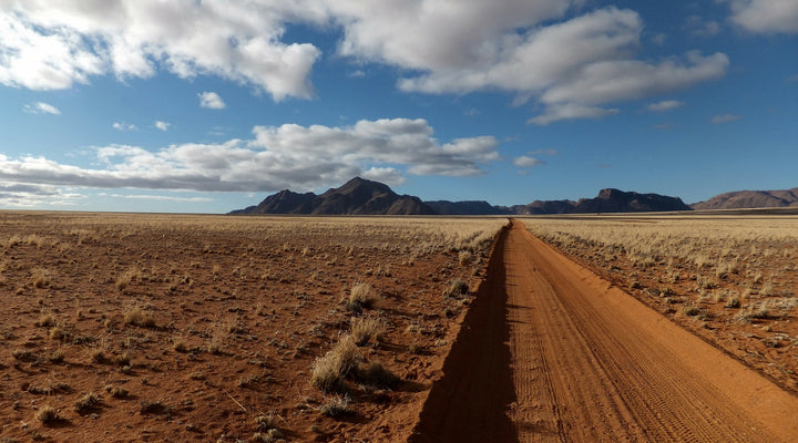 Thinking About the Bar Exam Before Graduation