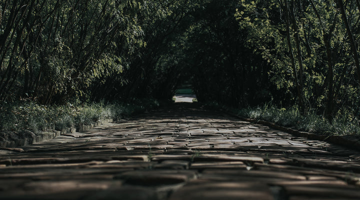 Focus on MBEs & Game the Essays — Your Guide to Strategically Hacking the Bar Exam