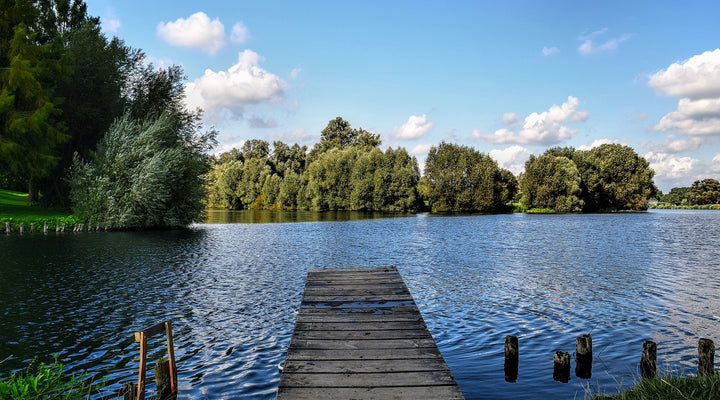 Knowing Your Individual Learning Style Can Help You Pass the Bar Exam